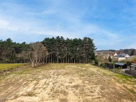 terrain à vendre à langdorp € 250.000 (lmr95) - homixx vastgoed haacht | zimmo