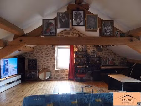 barriol immobilier
