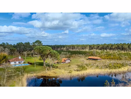 landaise de caractère sur vaste domaine avec étang
