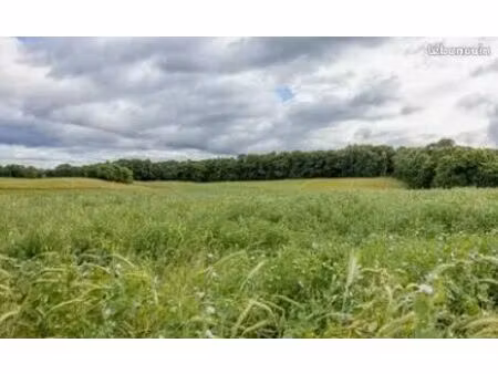 cherche terrain pour chevaux