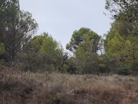 terrain de loisir boisée