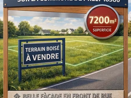 terrain à presly (18380)