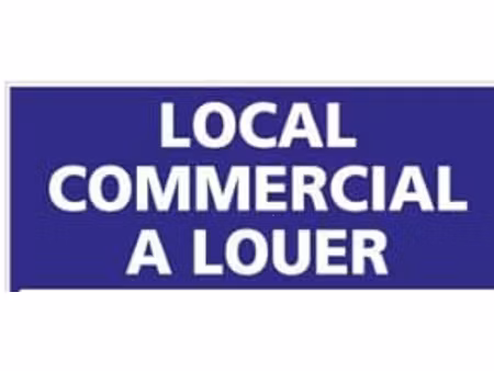 location local commercial 1 pièce  236.51m²  chatou