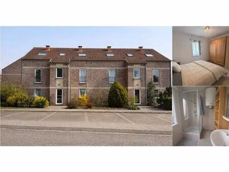 rez-de-chaussée à louer à rue des postes 82 maisières (vbe04799)