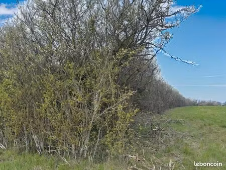 terrain 2409 m² favieres