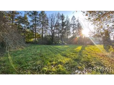 vente terrain à camors (56330) : à vendre / 674m² camors