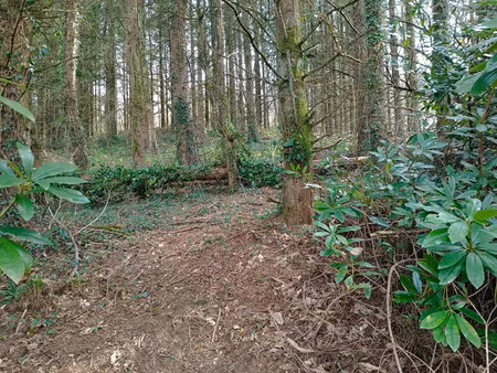 vente maison à mellionnec (22110) : à vendre / 85m² mellionnec