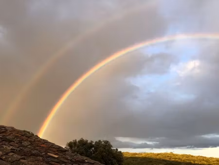 demeure de prestige de plus 20 pièce(s) 750 m2 sur environ 7 hectares