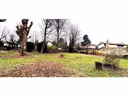 projet rare avec fort potentiel tassin-la-demi-lune