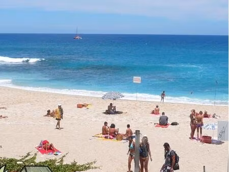 appartement t1 meublé à boucan canot the place to be