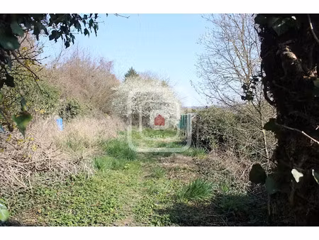 vente maison 8 pièces 260 m² à epernay (51200)  79 900 €