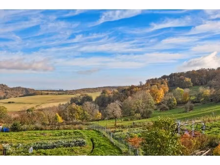maison en pierre entièrement rénovée - vue exceptionnelle - suite parentale - dépendances 