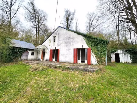 vente maison 5 pièces 90 m² à sargé-sur-braye (41170)  64 000 €