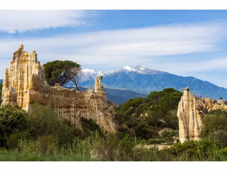 achat terrain 552m² ille sur tet 66130