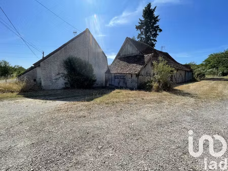 maison de campagne à la ferté-saint-cyr (41220)