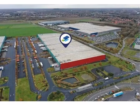 location entrepôt lauwin planque 59553 31031m²