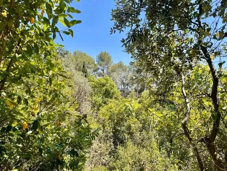 terrain à vendre à montpellier : 750 000 € | 1761m²