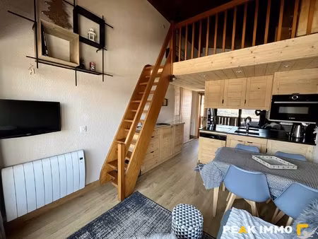 studio cabine + mezzanine - 30 m2 utiles - combloux