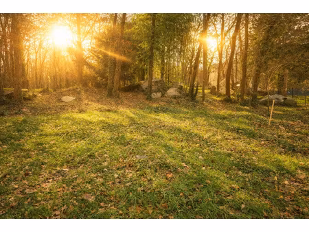 terrain à vendre 2 400 m² avec 32 ml de façade