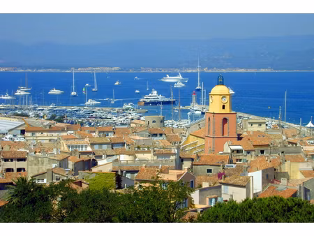 annonce commerce à vendre