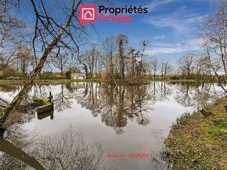 etang martigne ferchaud 5550 m2 - terrain de 12340 -