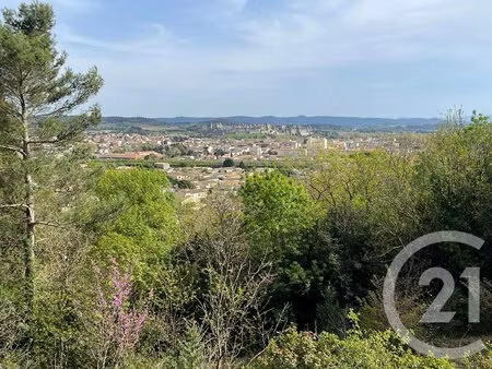 achat : terrain (11000)