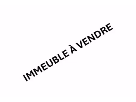 vente commerce 1 500 m²