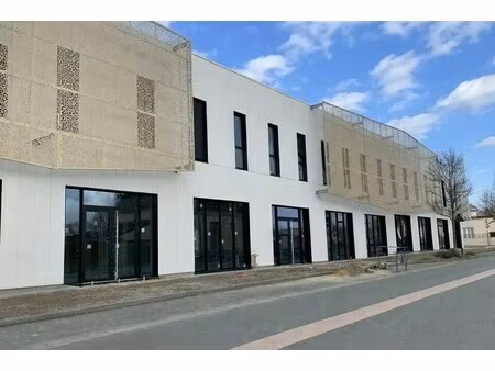 vente commerce les ponts de ce 49130 163m² à 667m²
