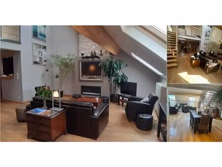 appartement en colocation à rue du marché au charbon bruxelles (vbe05026)