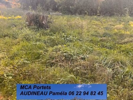 vente terrain 530 m² capian (33550)