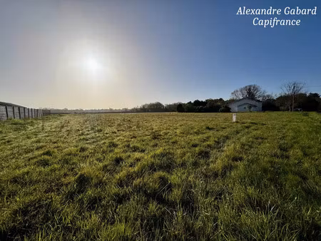 vente terrain 770 m² langon (33210)