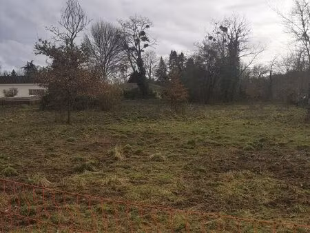 vente terrain 1202 m² noaillan (33730)