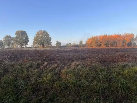 vente terrain 2080 m² targon (33760)