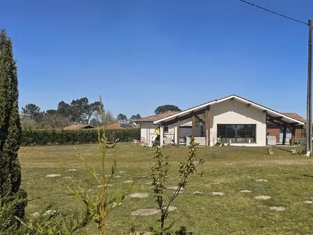 au coeur de la forêt landaise