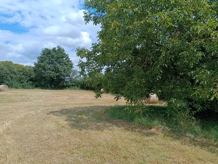 achat terrain 15 514m² ourouer les bourdelins 18350