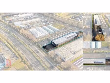 surface industrielle à vendre à dirk martensstraat 14 sint-andries (rbv61276)