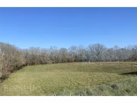 vente terrain 980 m² floirac (33270)