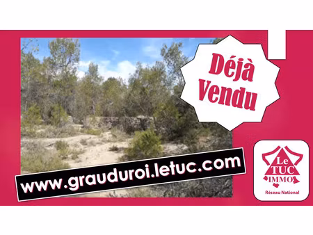 vente terrain 36000 m² vacquières (34270)