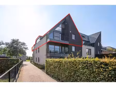 appartement te koop in hoogstraten met 4 slaapkamers