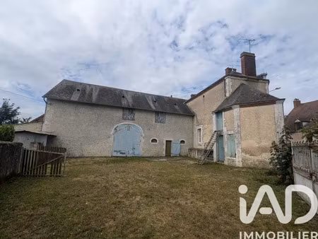 maison de village à dammarie-en-puisaye (45420)