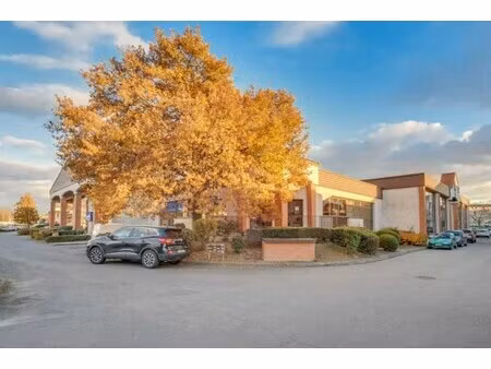 location local professionnel 330m²