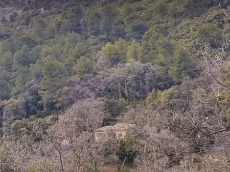 maison à bargemon (83830)