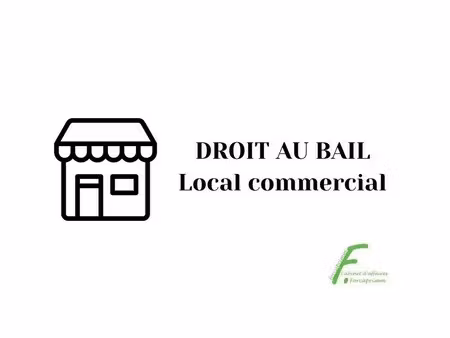location commerce 54 m²