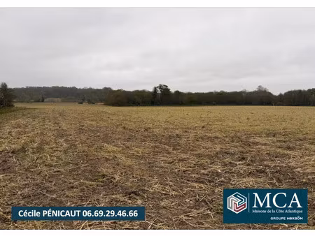 vente terrain 677 m² mimbaste (40350)