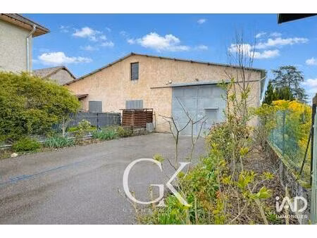 vente commerce 500 m² les avenières veyrins-thuellin (38630)