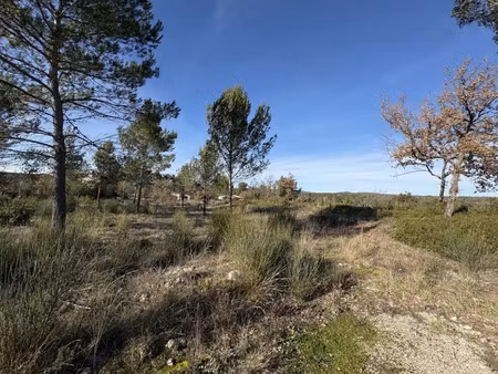 vente terrain neuf 3000m2 saint-maximin-la-sainte-baume - 215000 € - surface privée