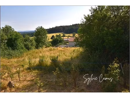 vente terrain 1200 m² saint-pal-de-mons (43620)