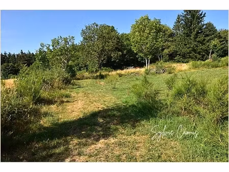 vente terrain 1300 m² saint-pal-de-mons (43620)