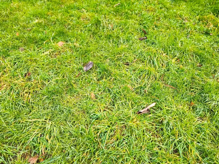 vente terrain à couëron (44220) : à vendre / couëron