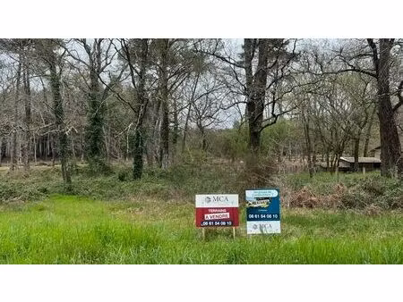 vente terrain 1000 m² damazan (47160)